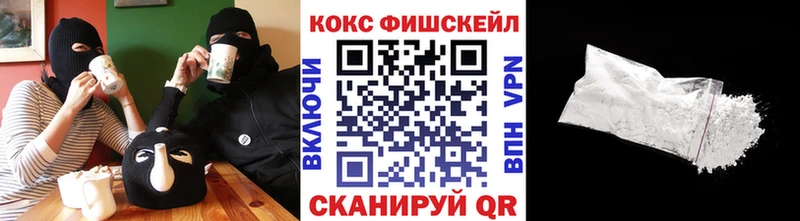 где купить наркотик  Киселёвск  Кокаин Fish Scale 