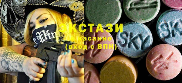 хмурый Пересвет