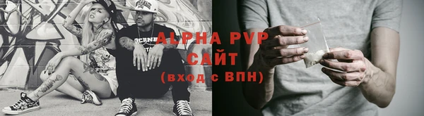 молекула духа Арсеньев
