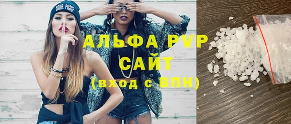 молекула духа Арсеньев