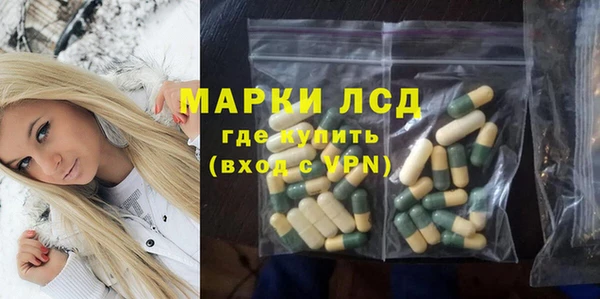 молекула духа Арсеньев
