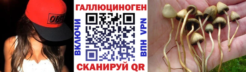 ссылка на мегу зеркало Киселёвск это телеграм сколько стоит Галлюциногенные грибы прущие грибы
